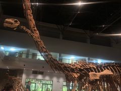 -自贡恐龙博物馆