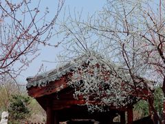 -三里河公园