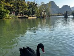 -靖西鹅泉风景区