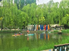 -圣露庄园·亲子活动乐园·露营·团建婚礼