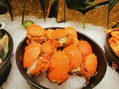 -怡聚轩全日制自助餐厅(大中华喜来登酒店)