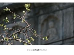-北京石刻艺术博物馆