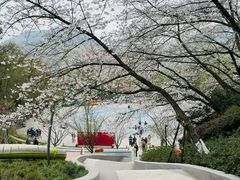 -杭州少年儿童公园