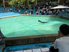 -合肥野生动物园