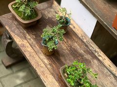 -潘玉麟糖粥