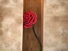 -西安电影制片厂