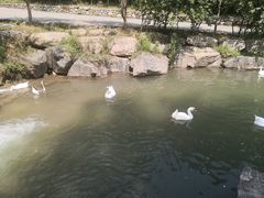 -云丘山景区