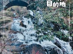 -莫干山风景区