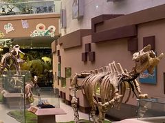 -陕西自然博物馆