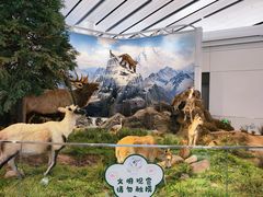 -西宁曹家堡国际机场-T2航站楼