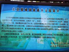 -北京鹫峰国家森林公园