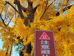 -清华大学玉泉医院