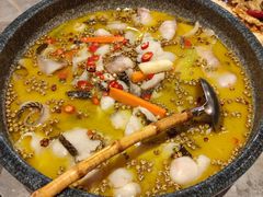 东坡大麻鱼-眉州东坡·川菜(川沙百联店)
