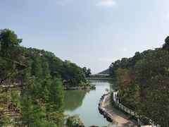 -广州市帽峰山景区