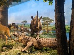 -国家自然博物馆