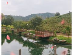 -帐篷客·溪龙茶谷度假酒店