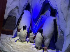 -太平洋海底世界