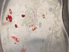 -北京赛佳动物医院