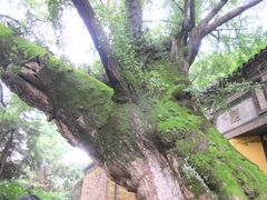 -无锡惠山寺