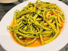 蒜头炒含羞草-建兴酒家(素里翁分店)