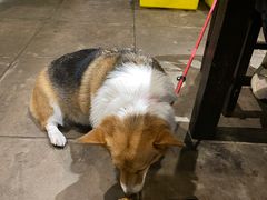 -蚝美人·生蚝海鲜烧烤(茶花园店)