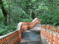 -西双版纳原始森林公园