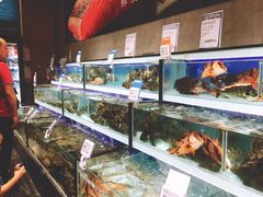 水产区-盒马鲜生(曜一城店)