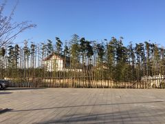 -灵山莲花公园-温泉度假区