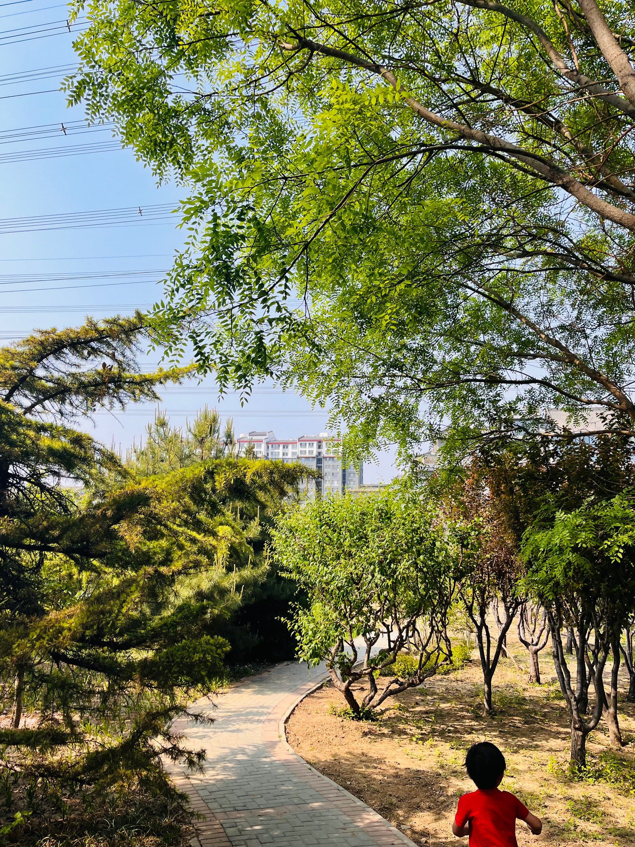 百子湾休闲公园