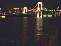 -台场海滨公园船码头