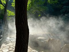 -北京西山国家森林公园