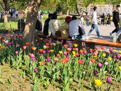 -长春公园(普阳街道)