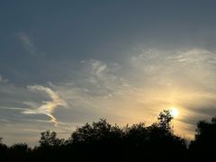 -济南国际园博园