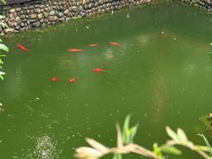 -乖乖佳花园山庄·私房菜(阿哈湖公园店)