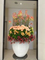-奥斯芬欧系贵族SPA