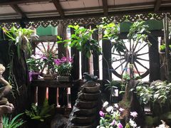 景观位-自然餐厅(Phuket)