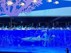 -烟台海昌鲸鲨海洋公园