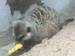-正佳雨林生态植物园