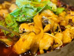 -都江堰石锅鱼