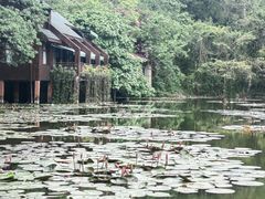 -野象谷景区