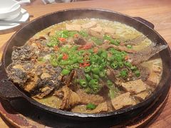 -老板恋上鱼(恒隆广场店)