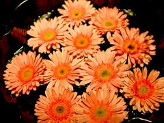 -花马天堂云南餐厅 Lost Heaven(高邮路店)