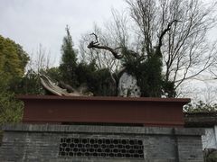 -泰州凤城河风景区-泰山公园