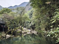 -百杖潭景区