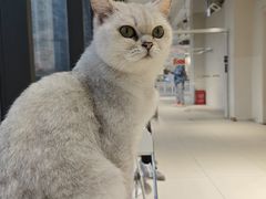 -怪兽屋·羊驼·猫咖·狗咖(俊华广场店)