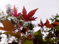 -求水山公园