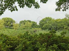 -蠡湖大桥公园