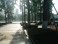 -百林公园-两江幸福广场