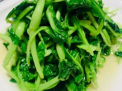 清炒鸡毛菜-19号私房菜(云南路店)