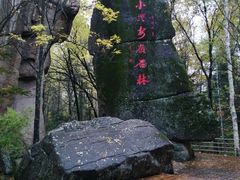 -汤旺河林海奇石景区